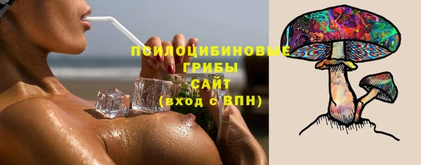 амф Аркадак
