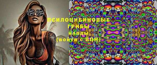 твердый Арсеньев