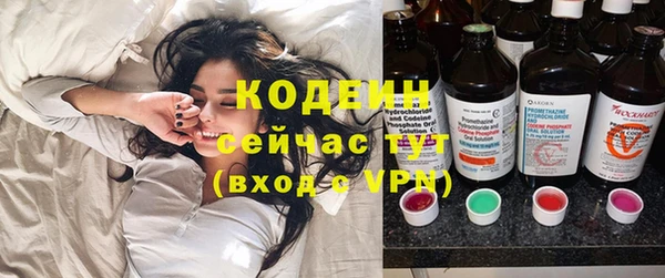 твердый Арсеньев