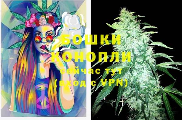 индика Армянск